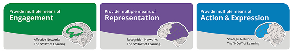 UDL Principles aligned with areas of the brain. Engagement/Affective Networks. Representation/Recognition Networks. Action & Expression/Strategic Networks.Source: CAST https://udlguidelines.cast.org/more/about-graphic-organizer